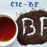 Trà Đen CTC BP