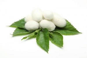 Alternative view of Silk